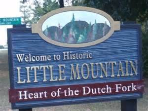 Little Mountain